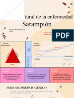 Historia Natural Del Sarampión