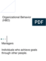 Organizational Behavior (HBO)