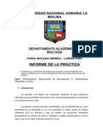 Copia Biologia Informe 3 Laboratorio 2