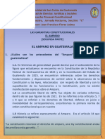 Las Garantías Constitucionales El Amparo en Guatemala II DPC Clase No.6