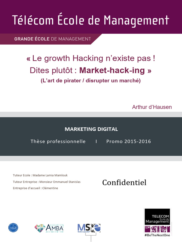 Le Mythe du Growth Hacking Dévoilé | PDF | Affaires