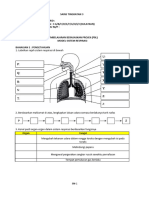 PBL Model Respirasi