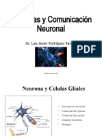 Neuronas y comunicacion neural (1)