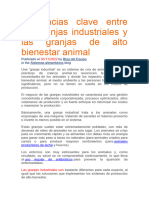 Diferencias Clave Entre Las Granjas Industriales y Las Granjas de Alto Bienestar Animal