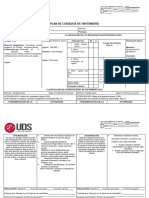 Formato Plan Cuidados Uds