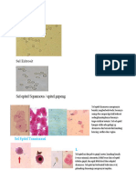 Dokumen - Tips - Atlas Sedimen Urin