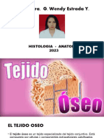 Tejido Oseo