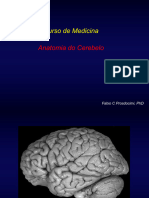 Anatomia Cerebelo