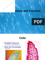 Animal and Plant Cell