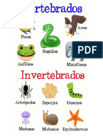 Animales Vertebrados e Invertebrados