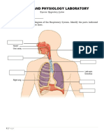3-Respiratory System