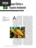 Escape Genico e Impacto Ambiental