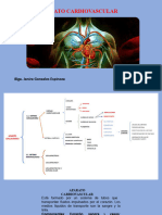 Aparato Cardiovascular