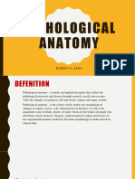 Pathological Anatomy Introduction