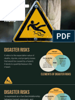Lesson 2 Disaster Risk