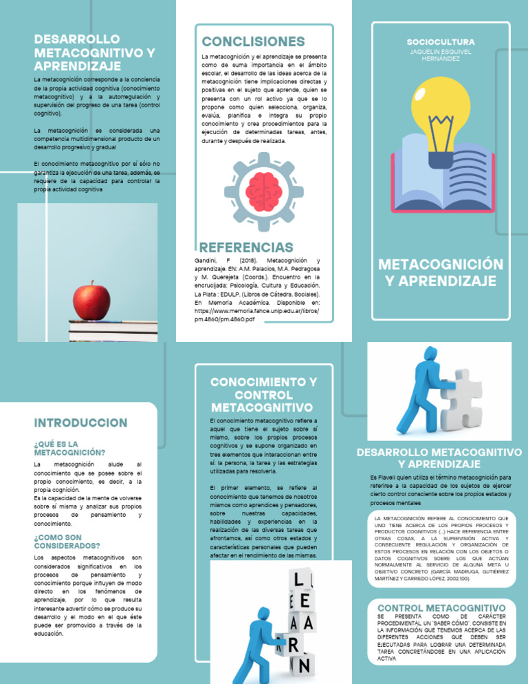 Metacognición y Aprendizaje Escolar | PDF | Teoria de la mente ...