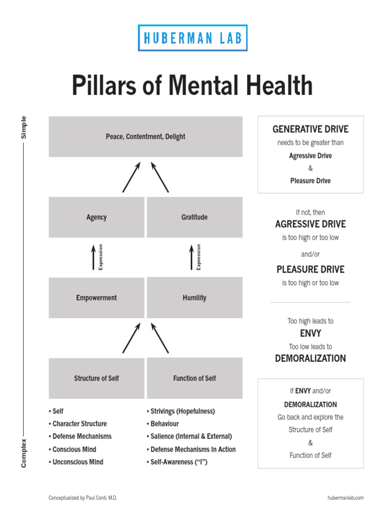 Pillars of Mental Health PDF Mind Psychological Concepts