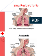 Sistema Respiratorio Mio