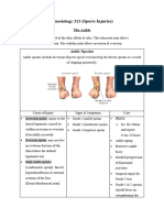 Ankle & Lower Leg Summary