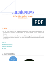Odontogenesis PDF