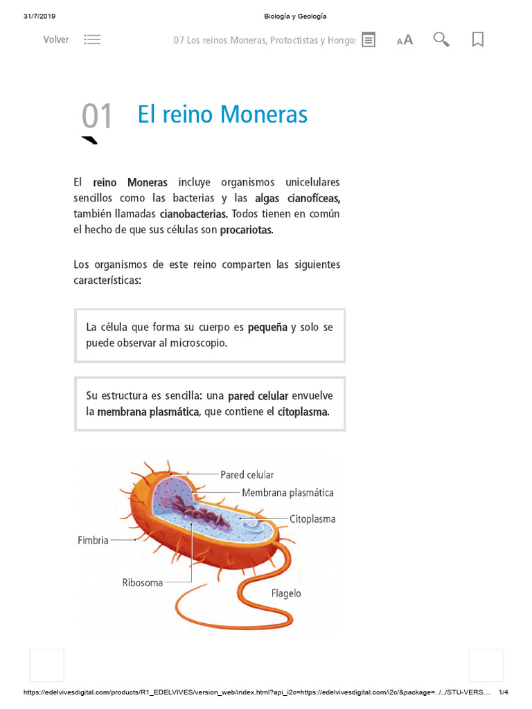 U7.1 El Reino Monera | PDF | Las bacterias | Organismos