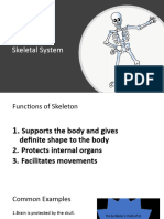 Skeletal System