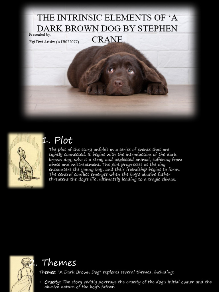 A Dark Brown Dog PDF Narration Dogs