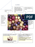 LA PAPA Infografia