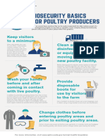 Biosecurity Basics For Poultry Producers