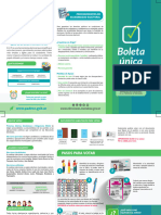 Instructivo Boleta Unica en Mendoza