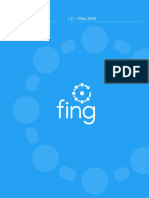 Fing CLI User Guide 1.2