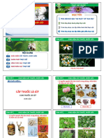 1 - Dai Cuong Cay Thuoc & Dac Diem Hinh Thai-1