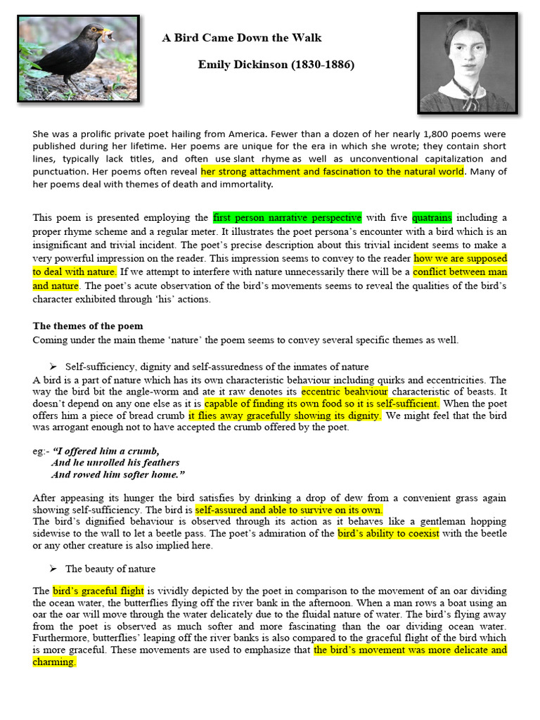 A Bird Came Down The Walk PDF Poetry Metre (Poetry)