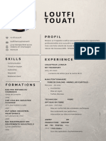 CV Touati PDF