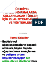 Endüstriyel Ağaçlandirmalarda Kullanilacak Türler İçin Islah Stratejileri Ve Yöntemleri