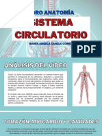 Foro Anatomía - El Sistema Circulatorio
