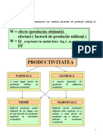 2.6-Productivitatea - Anexe