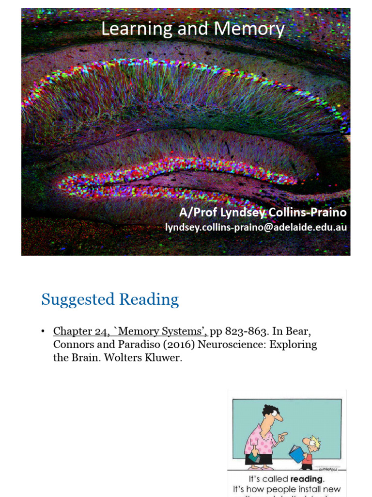 Understanding Memory Systems and Mechanisms | PDF | Memory | Long Term ...