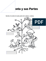 Ficha de La Planta y Sus Partes para Primaria