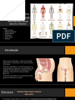 Leitura Anatomia Dos Sistemas Orgânicos