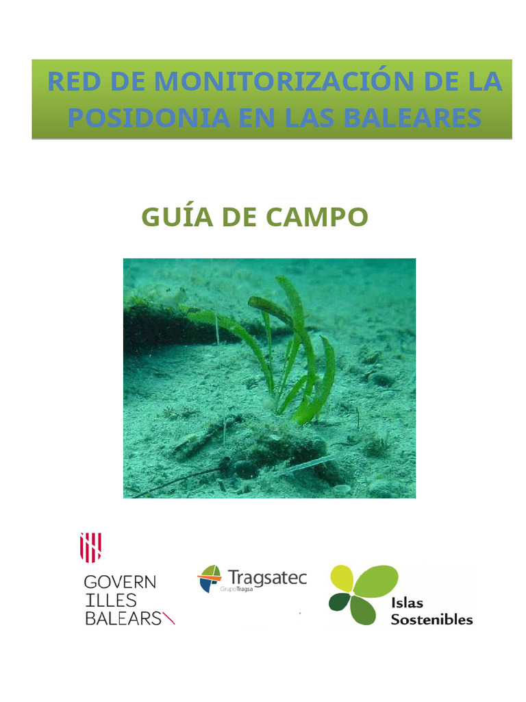 Monitorización de Posidonia en Baleares | PDF | Buceo bajo el agua ...