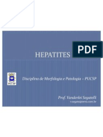HEPATITES_VIRAIS
