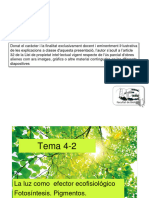 Tema 4-2 Fotosintesis Con Notas