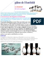 Pinguino