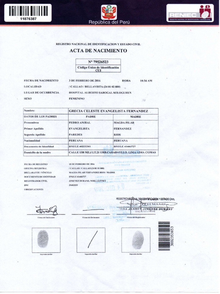 Partida de Nacimiento | PDF