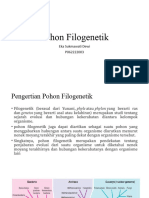 Pohon Filogenetik