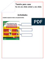 Tareita para Casa