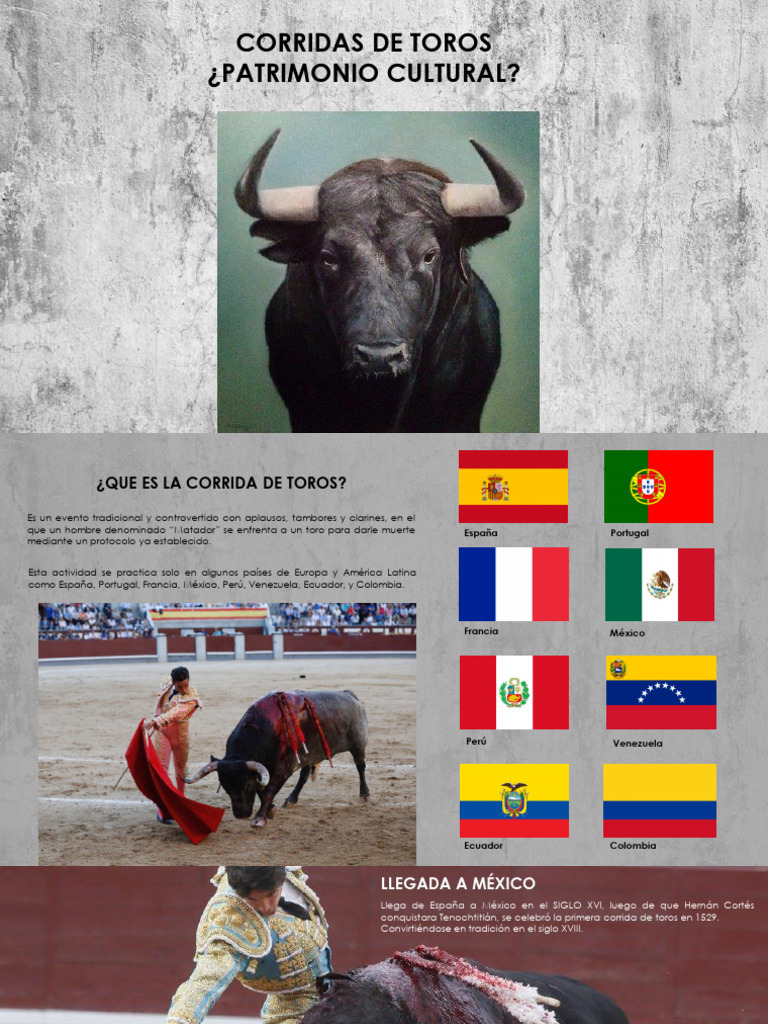Corridas de Toros: Patrimonio Cultural Controversial | PDF | Toreo ...