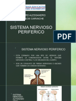 Sistema Nervioso Periferico