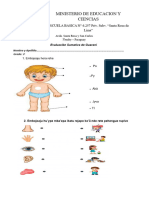 Parcial Segunda Etapa Primer Grado